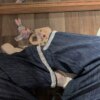 Straight Leg Wide Leg Jeans in Natural Hemp Original Colour